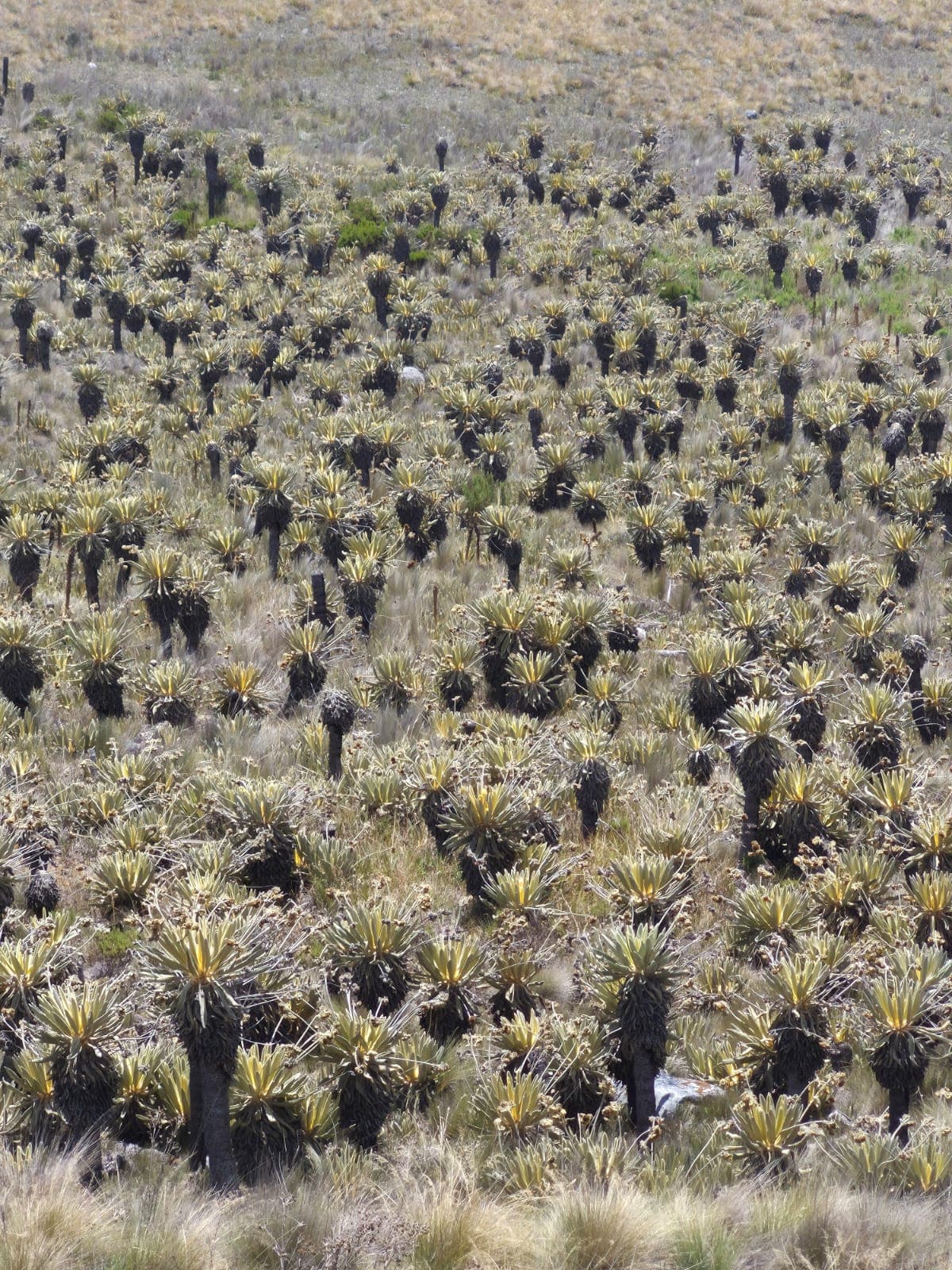 Galería del encuentro 3